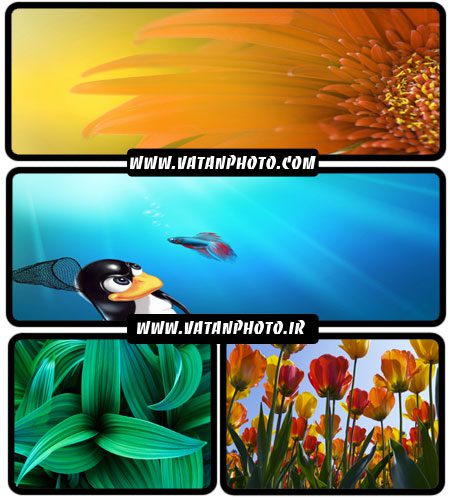 مجموعه ای از والپیپرهای گوناگون با موضوع طبیعت + WallPaper