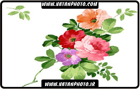 طرح کاملا لایه باز گل های نقاشی شده+psd