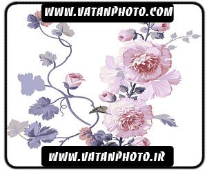 طرح کاملا لایه باز گل با کیفیت بالا+ psd