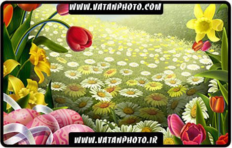 طرح گرافیکی از گل های بسیار زیبا کاملا لایه باز+ psd