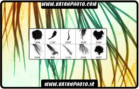 براش بسیار با کیفیت شاخ و برگ برای طرح های گرافیکی