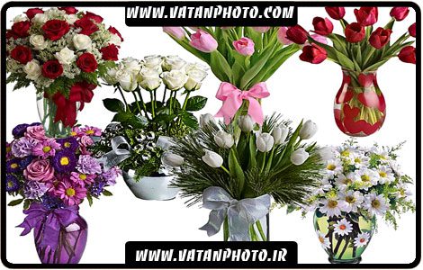 طرح لایه باز گلدان های گل با کیفیت بالا