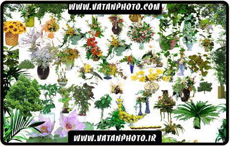 مجموعه آیکن از گل ها و دسته گل های
