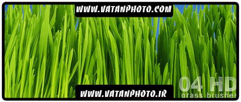 براش طبیعی از سبزه و علفزار