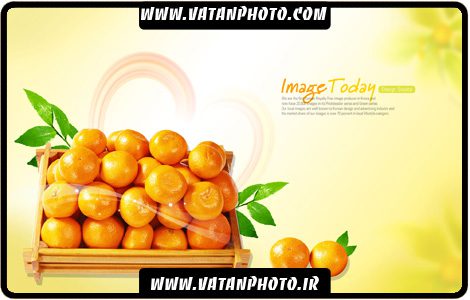 طرح تبلیغاتی و کارت ویزیت رایگان