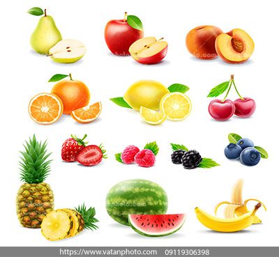 مجموعه وکتور آیکن میوه جات مختلف