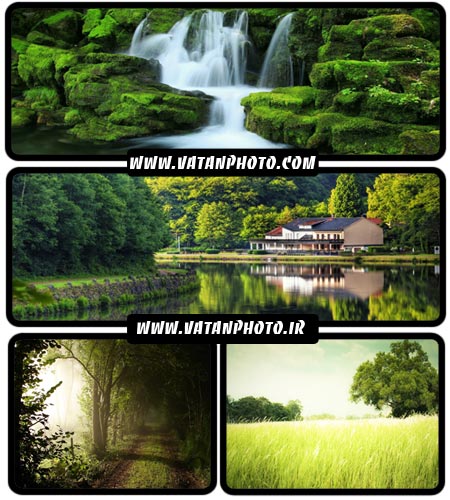 عکس های بسیار با کیفیت از طبیعت سر سبز + HD