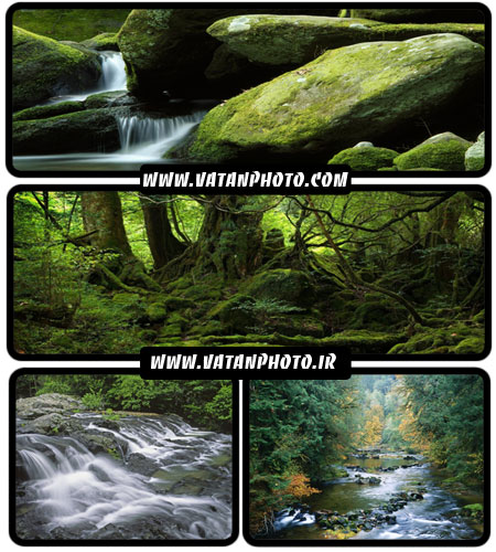 عکس با کیفیت از جنگل های سرسبز و رودخانه ها + HD