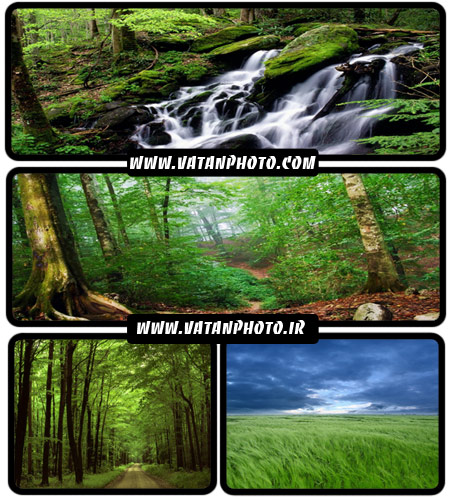 مجموعه 20 عکس با کیفیت از طبیعت سر سبز+ wallpaper HD