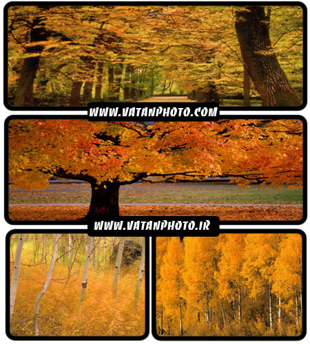 مجموعه 30 عکس با کیفیت از خزان پاییزی+ wallpaper HD
