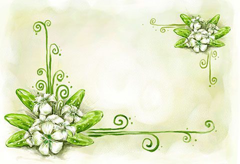 بکگراند و کارت پستال گل psd