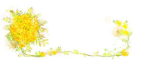 بکگراند کارت پستال گل psd