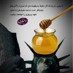 پوسترهای نمایشگاهی آمریکا در کلام امام خمینی