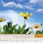تقویم رومیزی گل