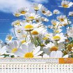 تقویم رومیزی گل