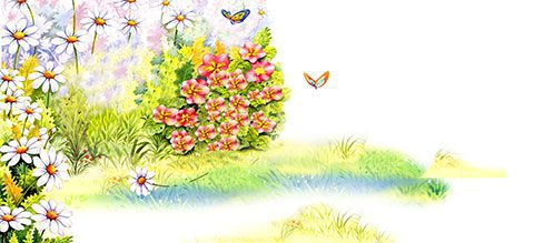 طرح گرافیکی کارتونی بوته گل psd