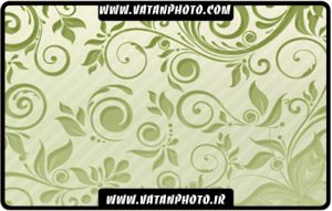 براش بسیار زیبا و با کیفیت گلبوته و اسلیمی