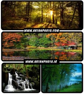 عکس های بسیار جذاب از طبیعت سرسبز با کیفیت HD