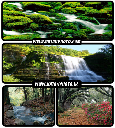 20 عکس جذاب از طبیعت سر سبز با کیفیت بالا+ wallpaper HD
