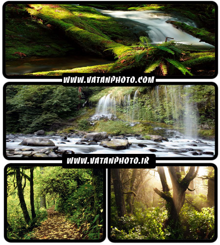 20 عکس با کیفیت از طبیعت سر سبز+ wallpaper HD