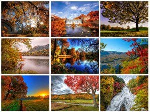 پکیچ 50 عکس جنگل پاییزی 2560x1600