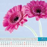 تقویم رومیزی گل