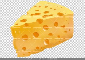 وکتور بدون بکگراند پنیر