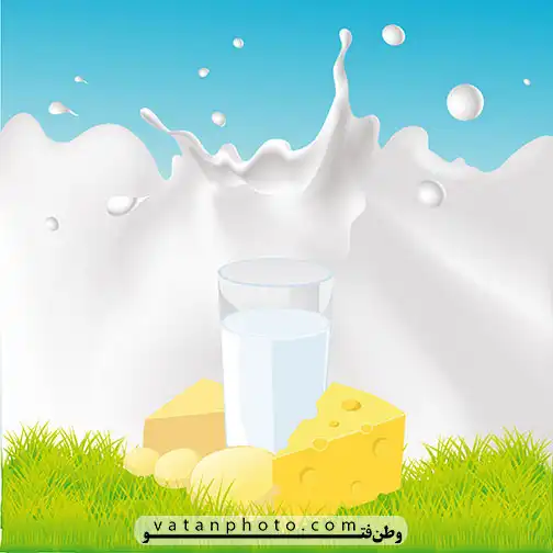 وکتور شیر و پنیر لبنیات