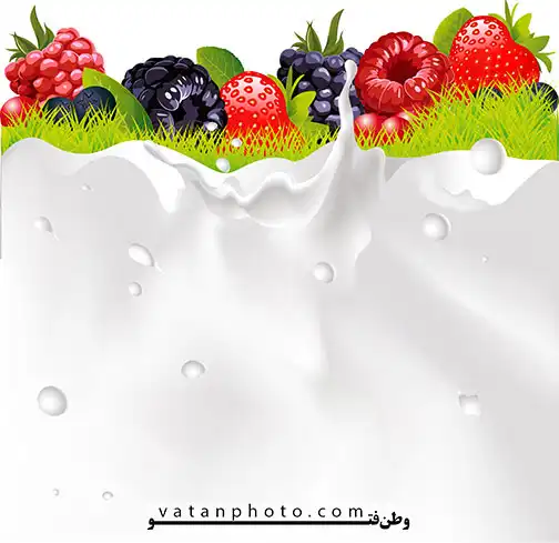 وکتور شیر میوه تمشک و توت فرنگی