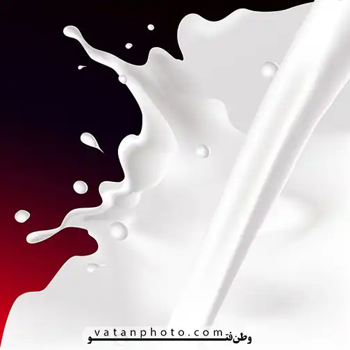 وکتور شیر پاشیده شده