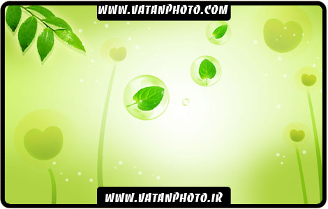بگراند حباب و شاخ و برگ با رنگ سبز +PSD