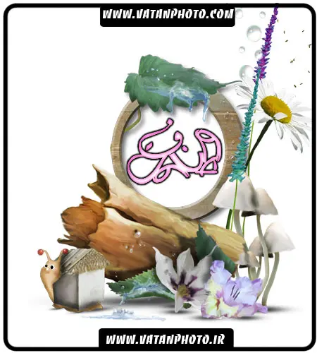 قاب عکس فانتزی با طرح گل و چوب با فرمت PNG
